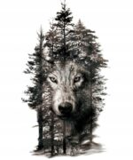 bc40b92134d2da47120cbdf589466d99