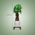 3f00c0500b836be99624c07e4d774b3d