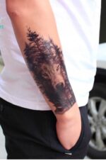 312e28e11455cabcd596288c2821584b