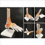 6e5f7a843c02d91ccd8b122f7cf65f5f