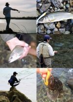 59c72d7d281a173bf00a3e85347b79e1