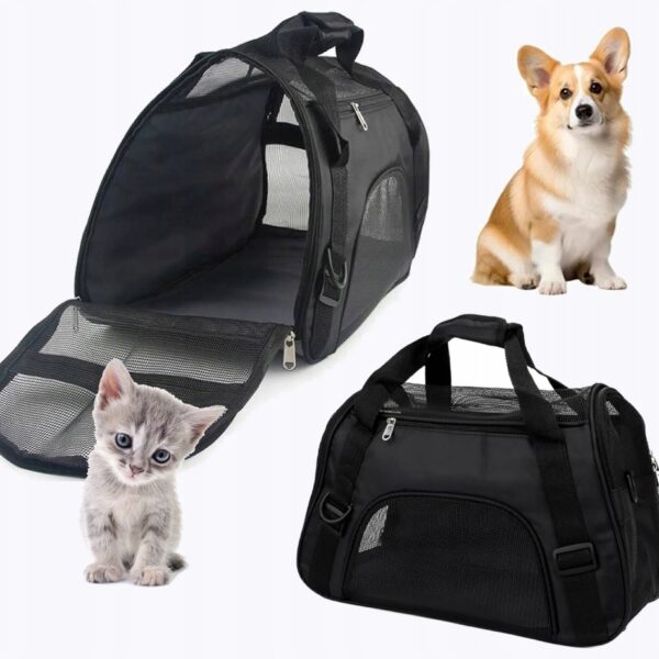 f29c2325d9f3d7eff7a081f9a8921c91