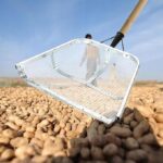 0469efef8c9e2e816121787f28e56b43