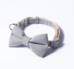 9e653557c74d72cb063de13cc9256964