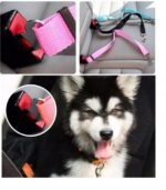 3f508af44096ba05fafed1f38769482a