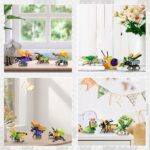 34c7e46e1a042e213322c2edca048da8