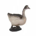 c5641d58f7b909821168bf19053bda06