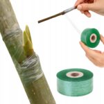 cae41f9010bec0b63a52ea36a55e2651