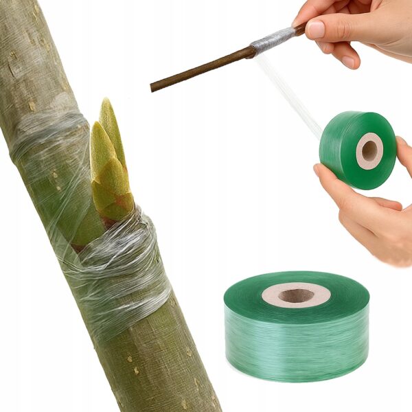 cae41f9010bec0b63a52ea36a55e2651