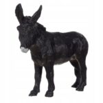 e9bbcad5513acac99ea355dd3ca4dba1