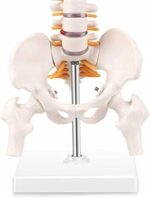 22d61eb7b0a85aa61fbb04ca46173734