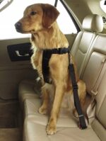 093e181cbbd7d5be1abd0583bffda4d3