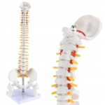 4f7630b109770c00dda6c02e8aef990b