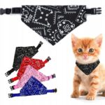 303d484f316b7d9daf356daeb98b9455