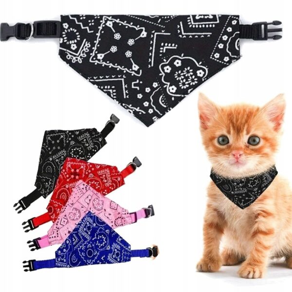 303d484f316b7d9daf356daeb98b9455