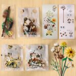 6db9d4b3bd0e91badaea80293f3eadc7