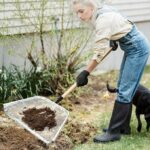 622dda9465b43605964ed24da3d88b28