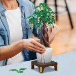 0898c07a69b1e660b2a77f3a34d94d92