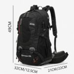 398dd022e94fe43f99cf05da943a51f6