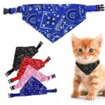 068833aa9e068ba09ab13343c97c7a7c