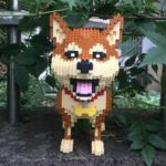 dcaf7d7947273556fca6f519d5703159