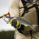 3c541d330af2aec64a40267dfebebb27