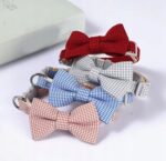 0c6875d0e0b5033eeb8a119d07b1adbd