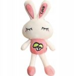 e9e71fa9befb420b60aa8fccf374d419