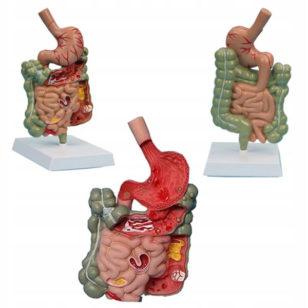 0fb5618cf2e03fffd7d4a8ba2a7eb431