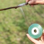 0847b267eff8b61c8bf11e5f96896487