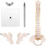 8c6adf5be1a81186a3b9ec6d51fd39f8