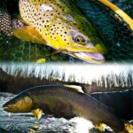 354b8d5464d759c8ccf6b5b213dd25cb