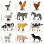 bb6031d9b19536e9a0ff884ebb647639