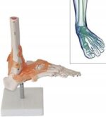 4ca96d8fa5d9ee72373342a1694188af