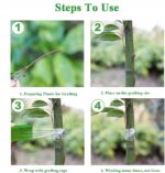 d2bc74286d899ef315d805f768c43769