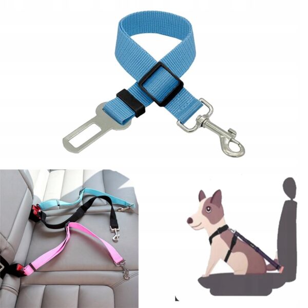 fb2988e6eafda3cb3369f7b10201ea31