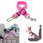 f851661f43cedfac3aedb19928439fdf