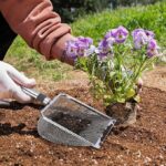 d3fe7f961730fbcf4c2a6c77bc881c0d